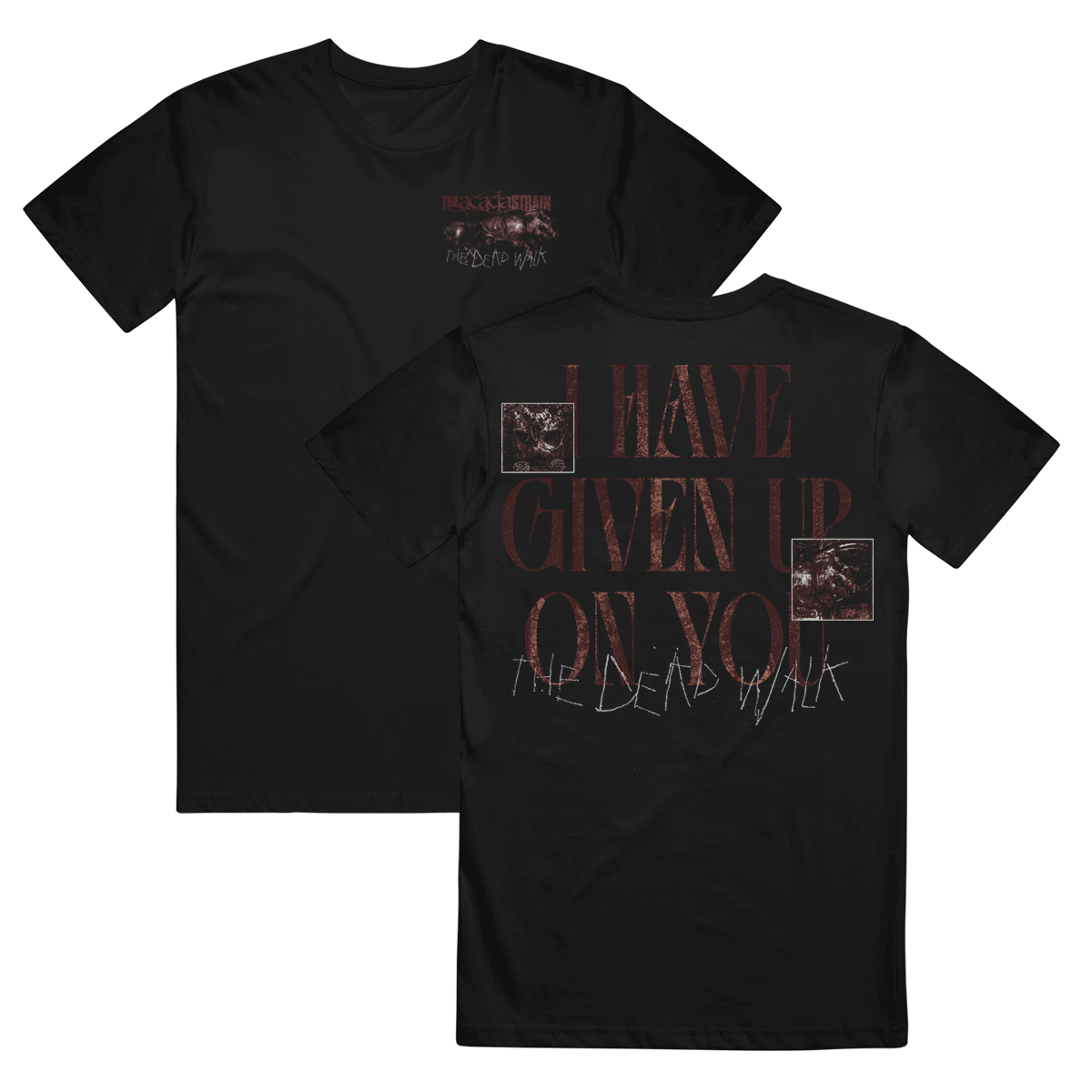 The Acacia Strain